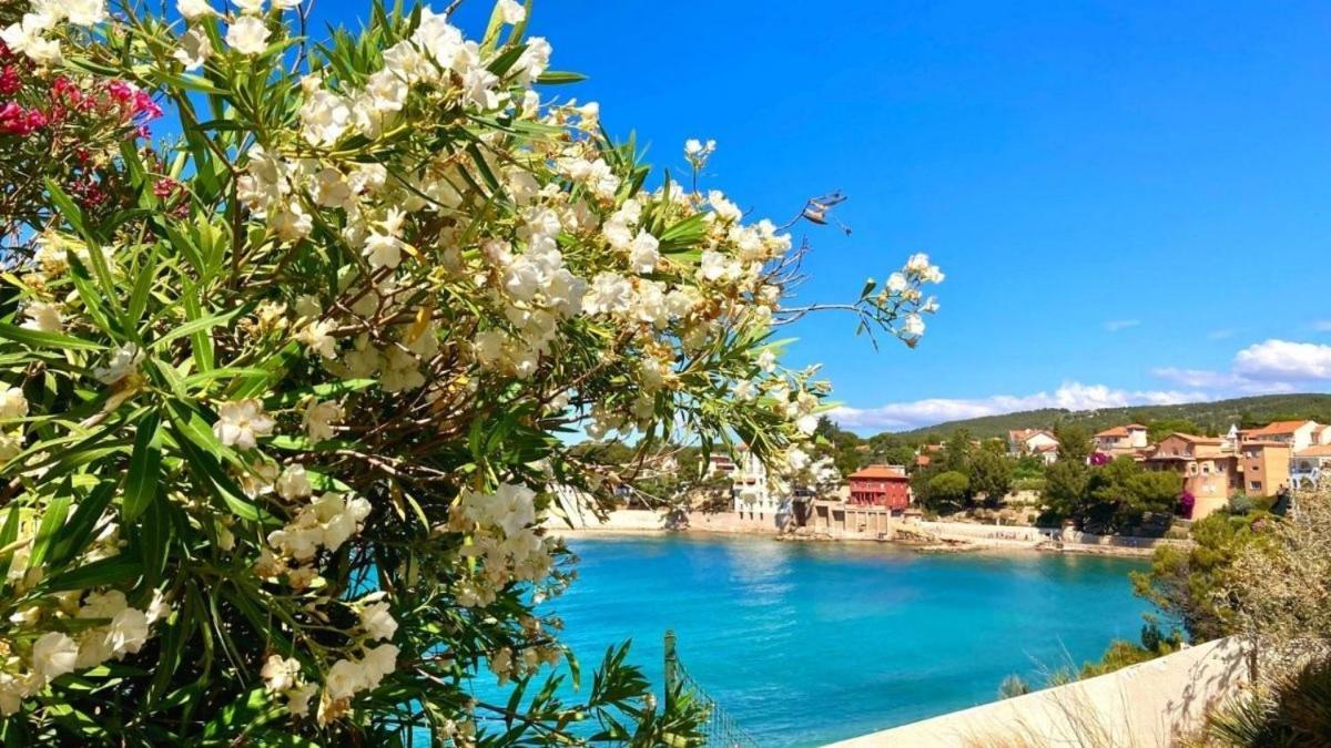Superbe appartement cosy à 300 m de la plage Bandol Esterno foto